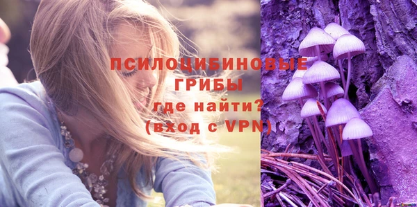 ECSTASY Балахна