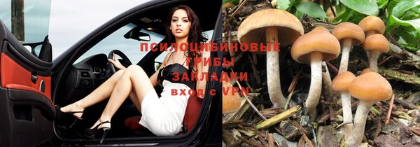 ПСИЛОЦИБИНОВЫЕ ГРИБЫ Балабаново