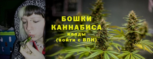 ПСИЛОЦИБИНОВЫЕ ГРИБЫ Балабаново