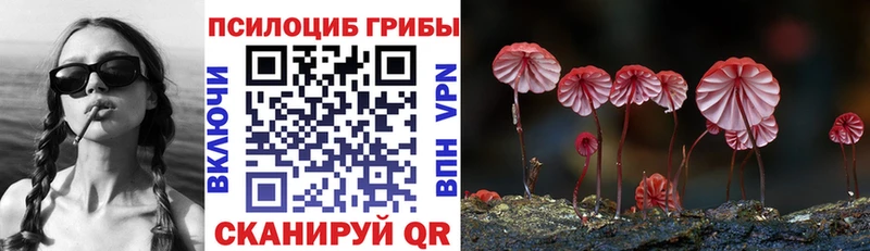 Галлюциногенные грибы ЛСД Суворов